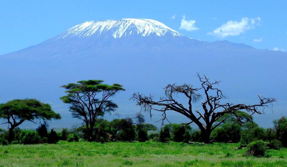 West-Afrika-Rundreise - Kenia Kilimandscharo
