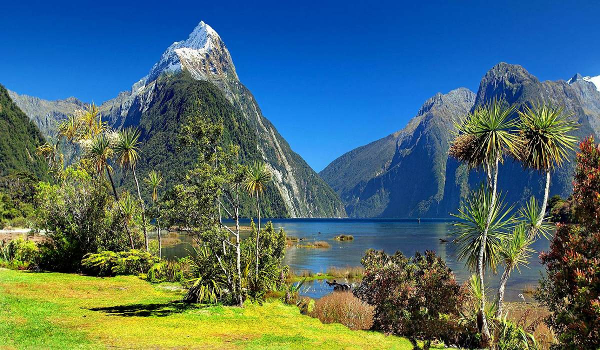 Foto: Neuseeland Rundreise - Sdliche Alpen Milford Sound Fiordland Tour